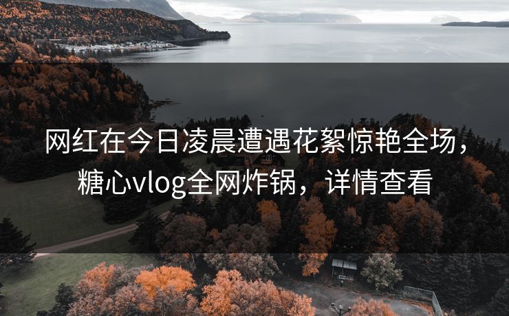 网红在今日凌晨遭遇花絮惊艳全场，糖心vlog全网炸锅，详情查看