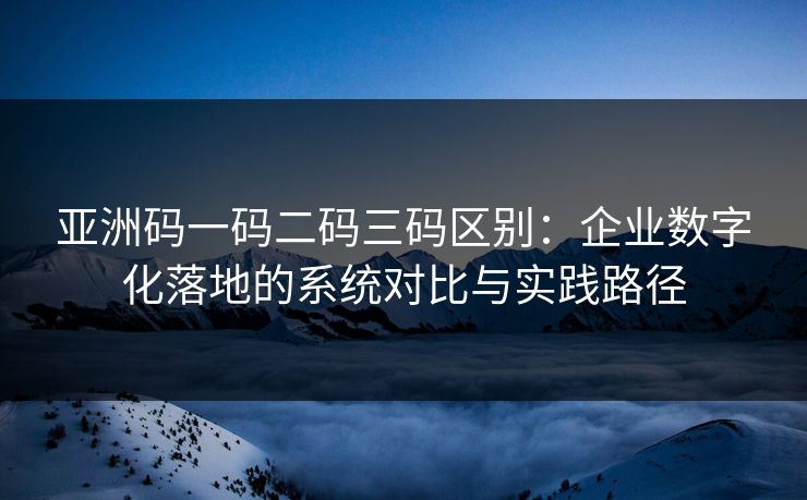 亚洲码一码二码三码区别：企业数字化落地的系统对比与实践路径