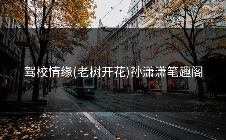 驾校情缘(老树开花)孙潇潇笔趣阁