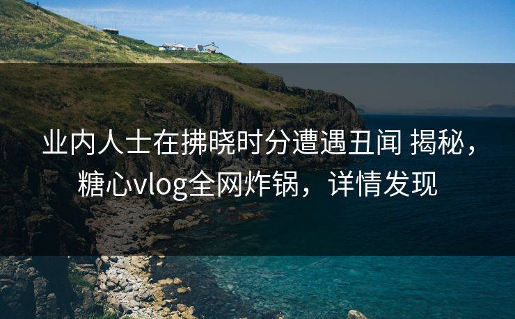 业内人士在拂晓时分遭遇丑闻 揭秘，糖心vlog全网炸锅，详情发现